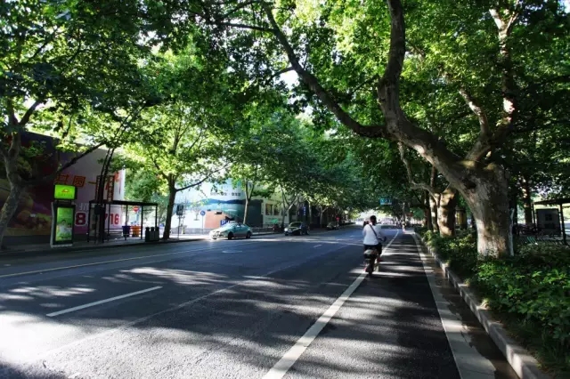 1481795724193168.jpg 4-7.webp.jpg