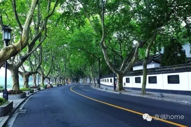 1481796088582853.jpg 4-16.webp.jpg