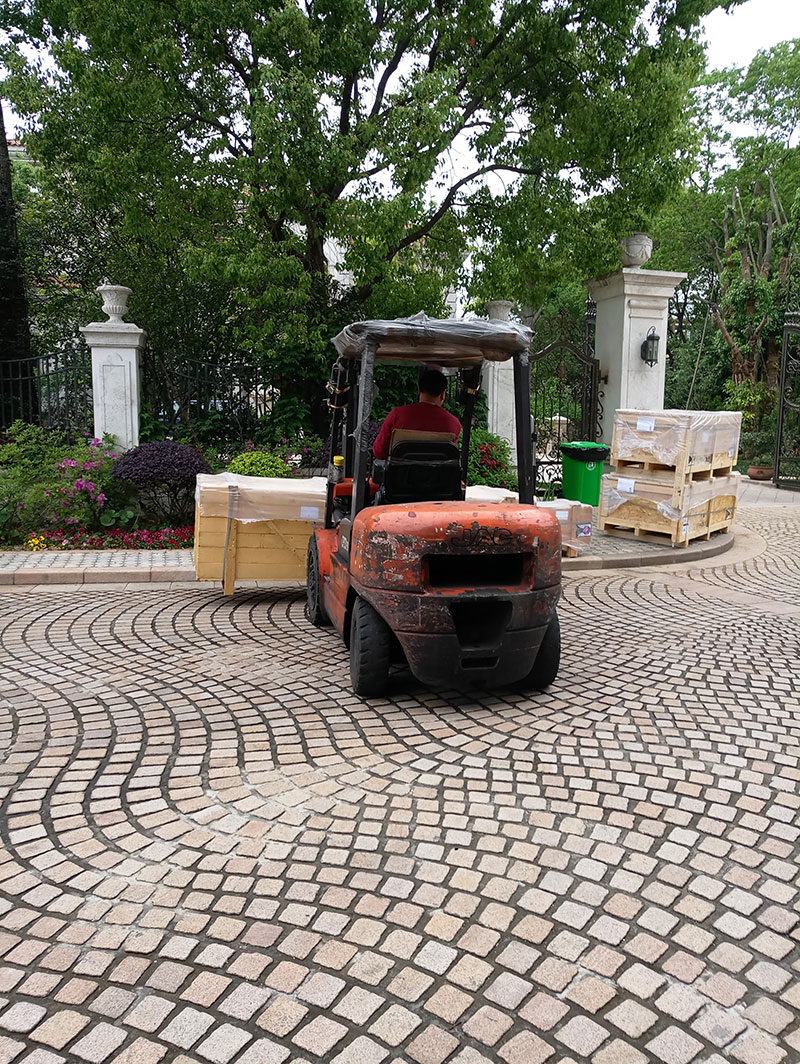 1495867017815658.jpg P70504-165900.jpg