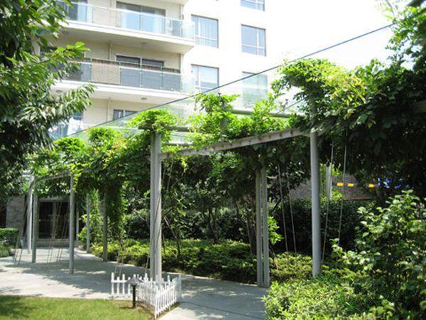 1498722637908532.jpg 14482918391526853430.jpg