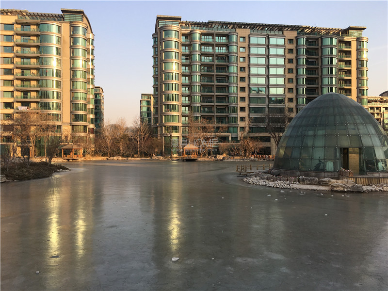 1546853381131831.jpg IMG_2959.jpg