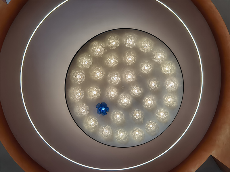 1708679026418796.jpg c (2).jpg