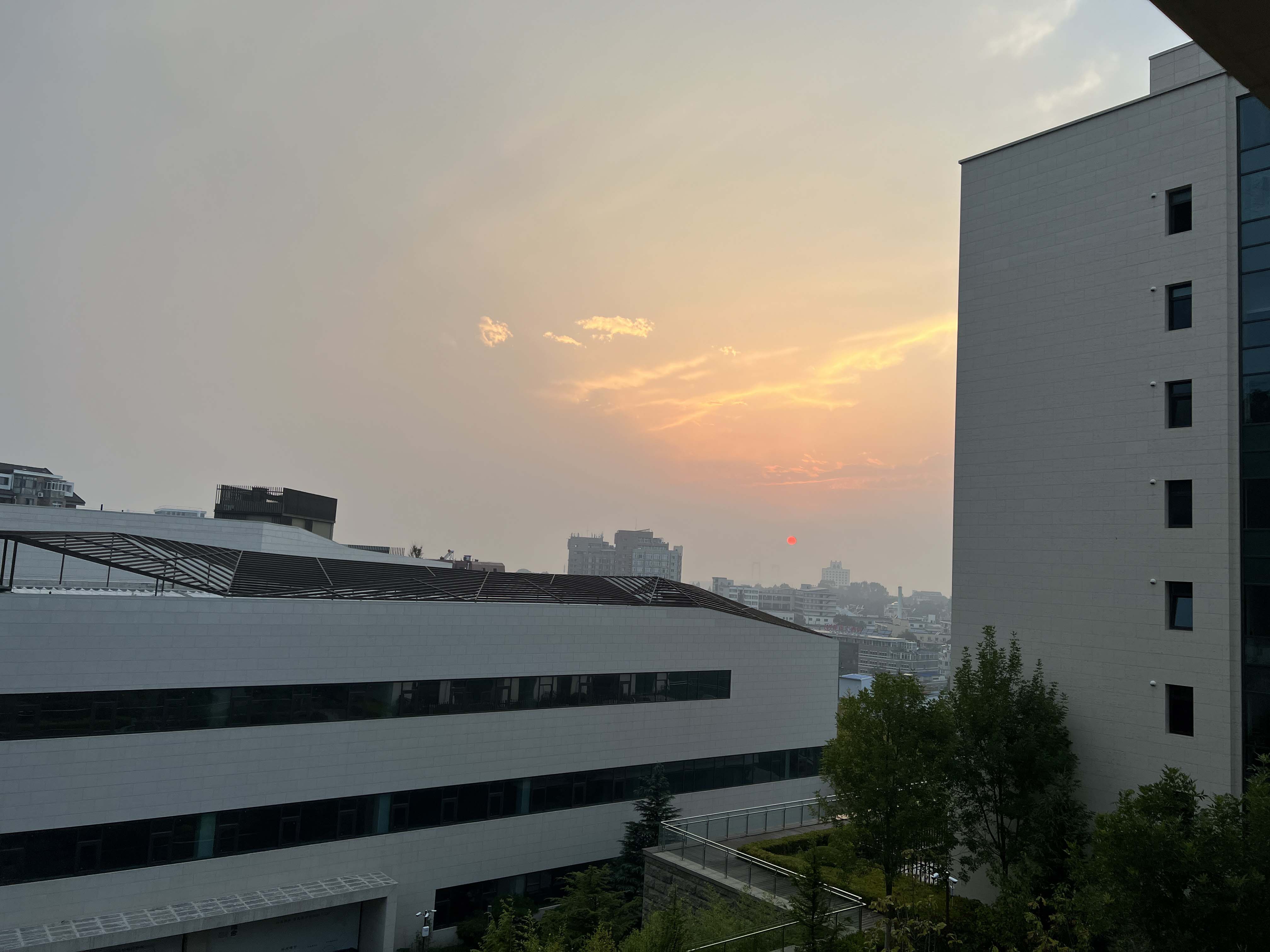 1770722409743819.jpg 2023_09_18_17_42_IMG_0953-1.jpg