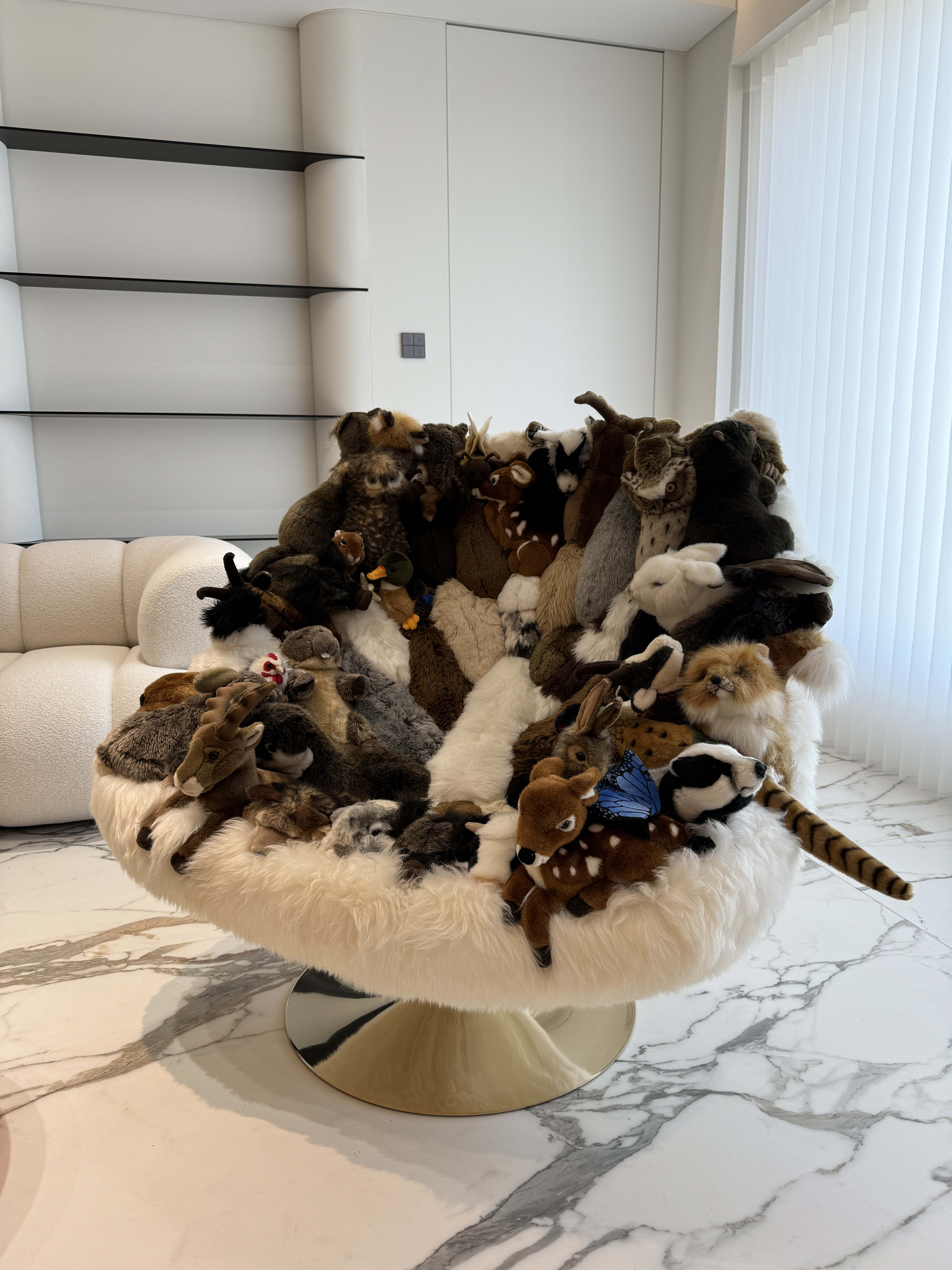 1770803015338960.jpg 2024_08_08_16_37_IMG_2308.JPG