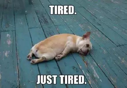 包豪斯百年特刊 |受包豪斯影響的意大利家具設(shè)計(jì)