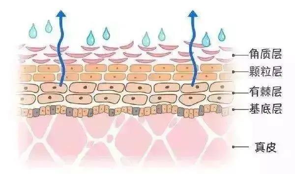 CircuKINGS & QUEENS CASTLE 床