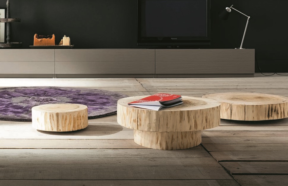 Coffee table Tronco 茶幾