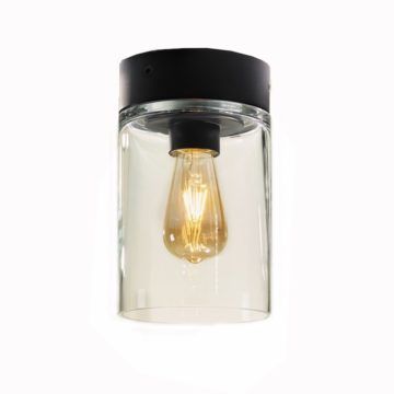 royal botaniaTesla吸頂燈