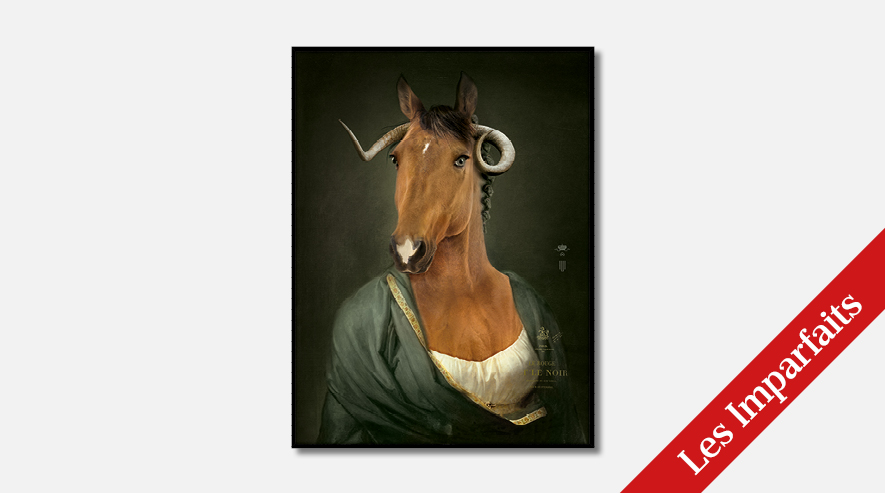 IbrideCollector Portrait Rénal XL  Les Imparfaits畫