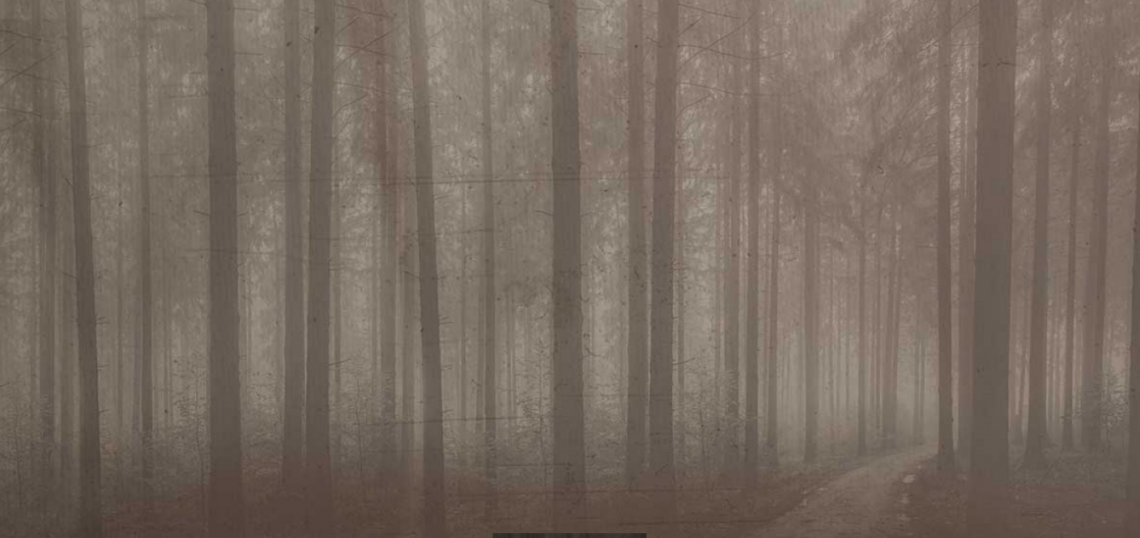 TONINCASANight Forest地板