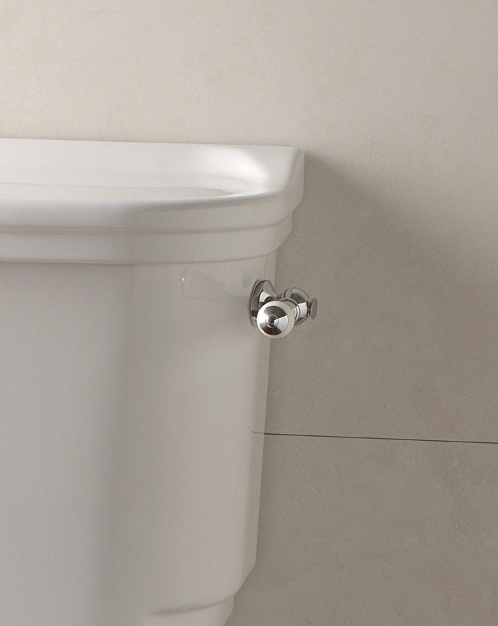 Devon&DevonLever for close coupled cistern水箱把手